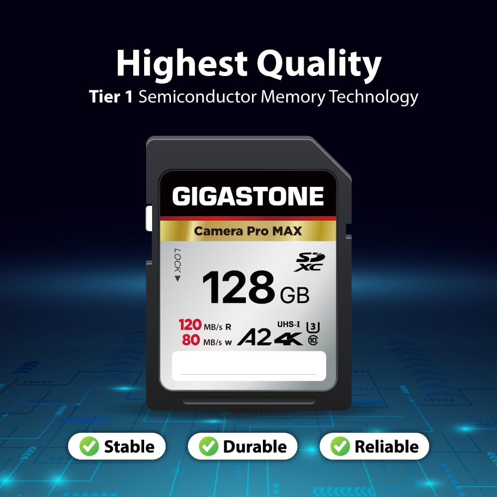 Amazon.co.jp: 【5年データ復旧・無償交換保証】GIGASTONE SDカード